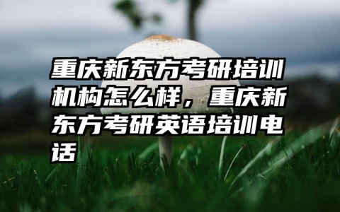重庆新东方考研培训机构怎么样，重庆新东方考研英语培训电话