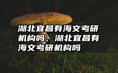 湖北宜昌有海文考研机构吗，湖北宜昌有海文考研机构吗