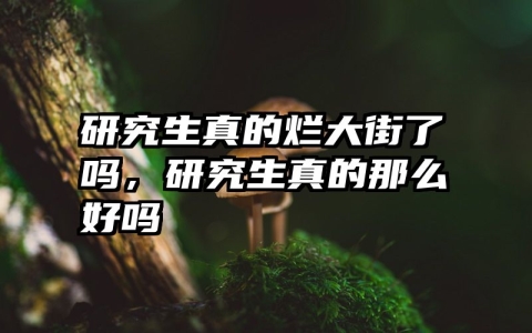 研究生真的烂大街了吗，研究生真的那么好吗