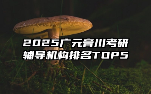 2025广元膏川考研辅导机构排名TOP5