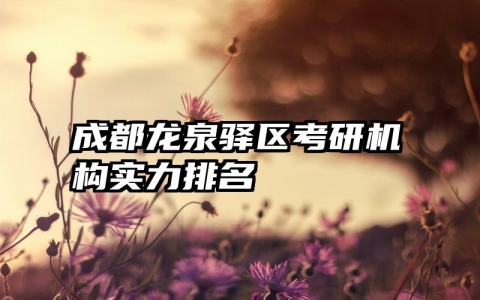 成都龙泉驿区考研机构实力排名