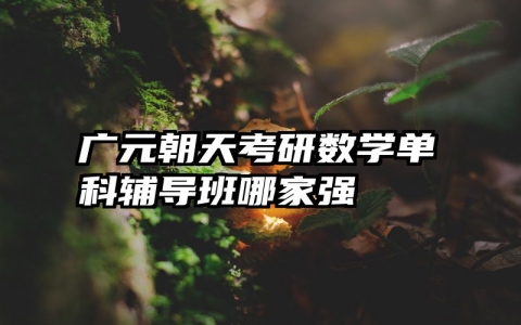 广元朝天考研数学单科辅导班哪家强