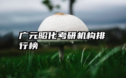 广元昭化考研机构排行榜