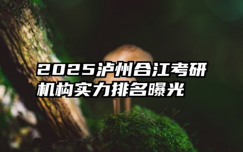 2025泸州合江考研机构实力排名曝光
